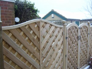 Fencing, forest